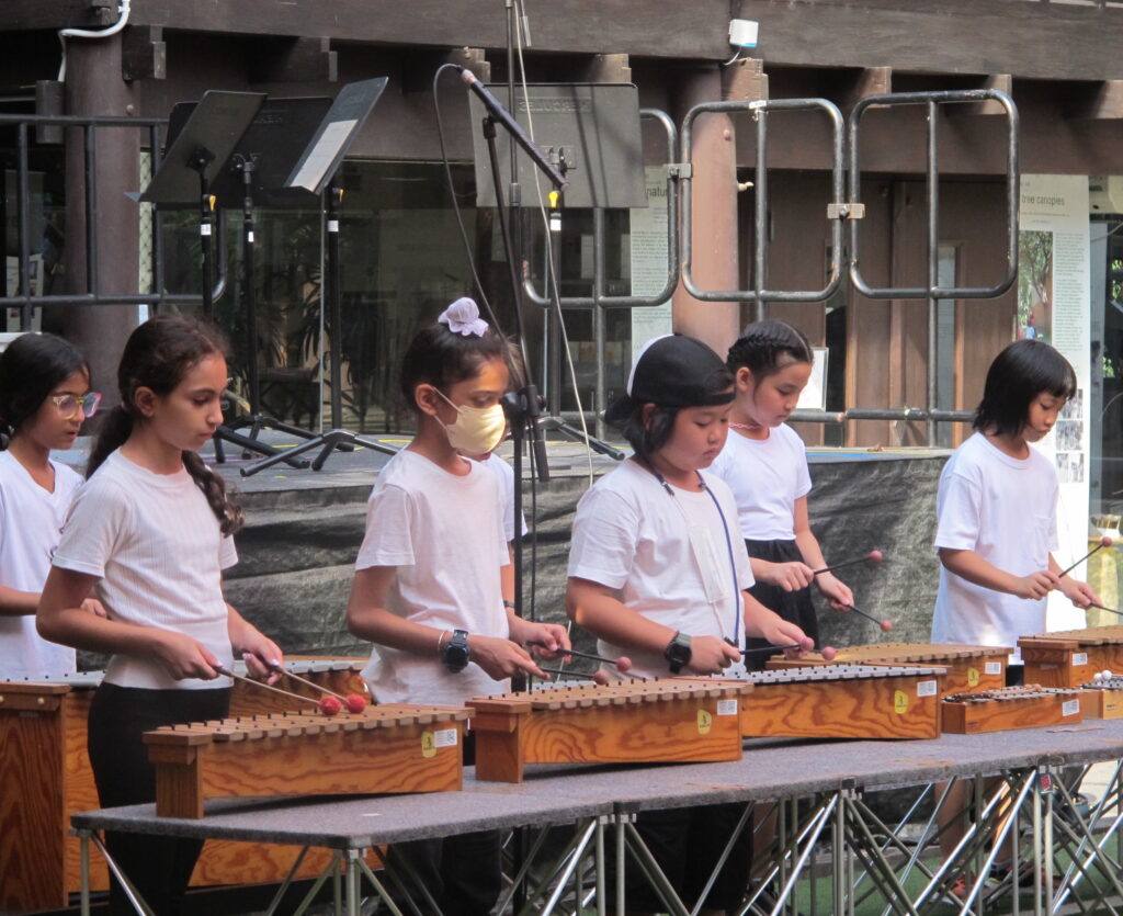 Children playing xylophones side by side at an outdoor school concert