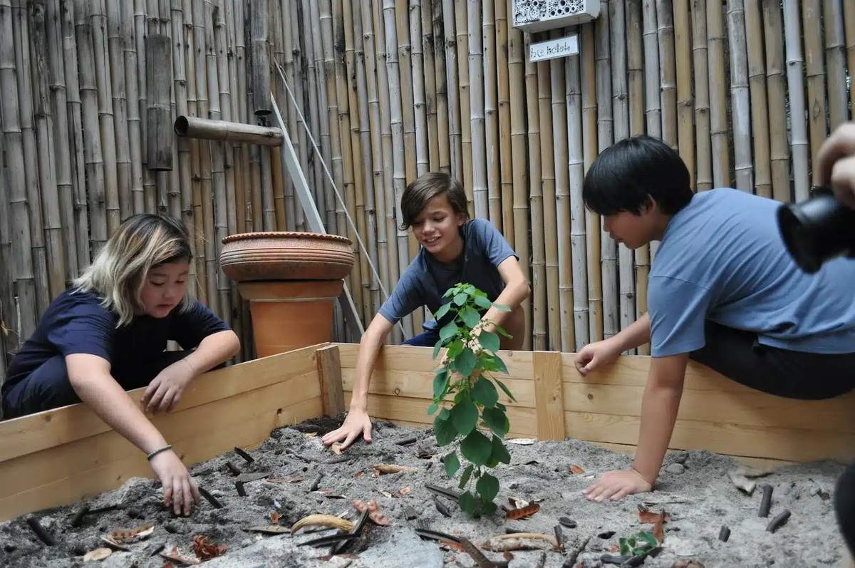 Three children lean into a raised garden bed to plant a seedling, with a bamboo wall and a bee hotel behind them